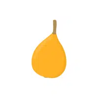 Loquat | Fruit Plants Names