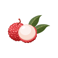 Lychee | Fruit Plants Names