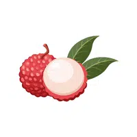 Lychee | Fruit Plants Names