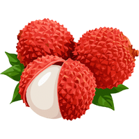 Lychee | Autumn Fruits Names