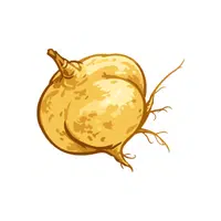 Maca
