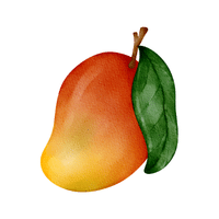 Mango | Coastal Fruits Names