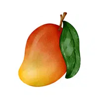 Mango | Coastal Fruits Names