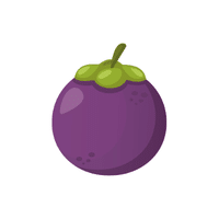 Mangosteen | Island Fruits Names