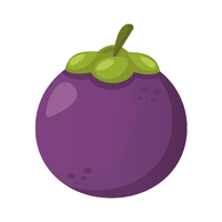 Mangosteen | Coastal Fruits Names