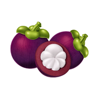 Mangosteen | Autumn Fruits Names