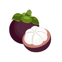 Mangosteen | Spring Fruits Names