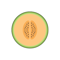 Melonseed | Seed Vegetables Names