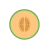Melonseed | Seed Vegetables Names