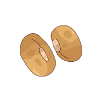 Mothbean | Pod Vegetables Names