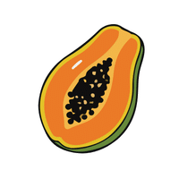 Mountainpapaya | Coastal Fruits Names