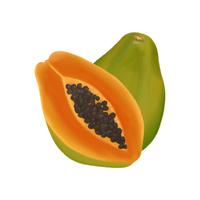 Mountainpapaya | Island Fruits Names