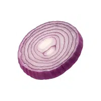 Multiplier | Bulb Vegetables Names