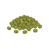 Mung | Seed Vegetables Names