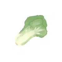 Mustardgreens | Seasonal Vegetables Names