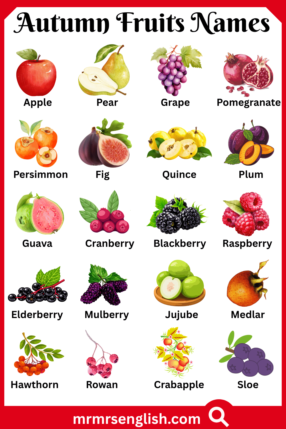 Names of Autumn Fruits with Pictures