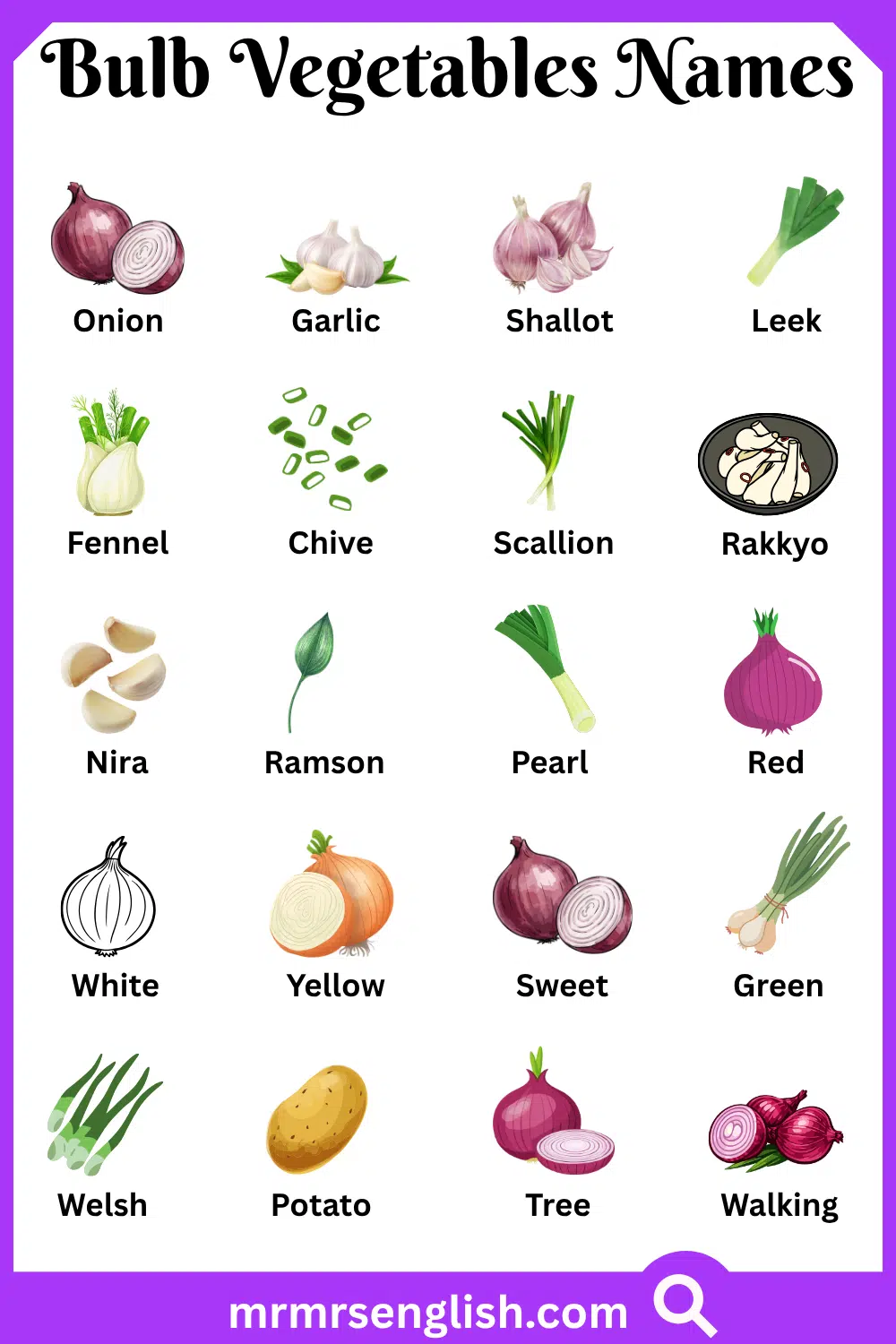 Names of Bulb Vegetables with Pictures