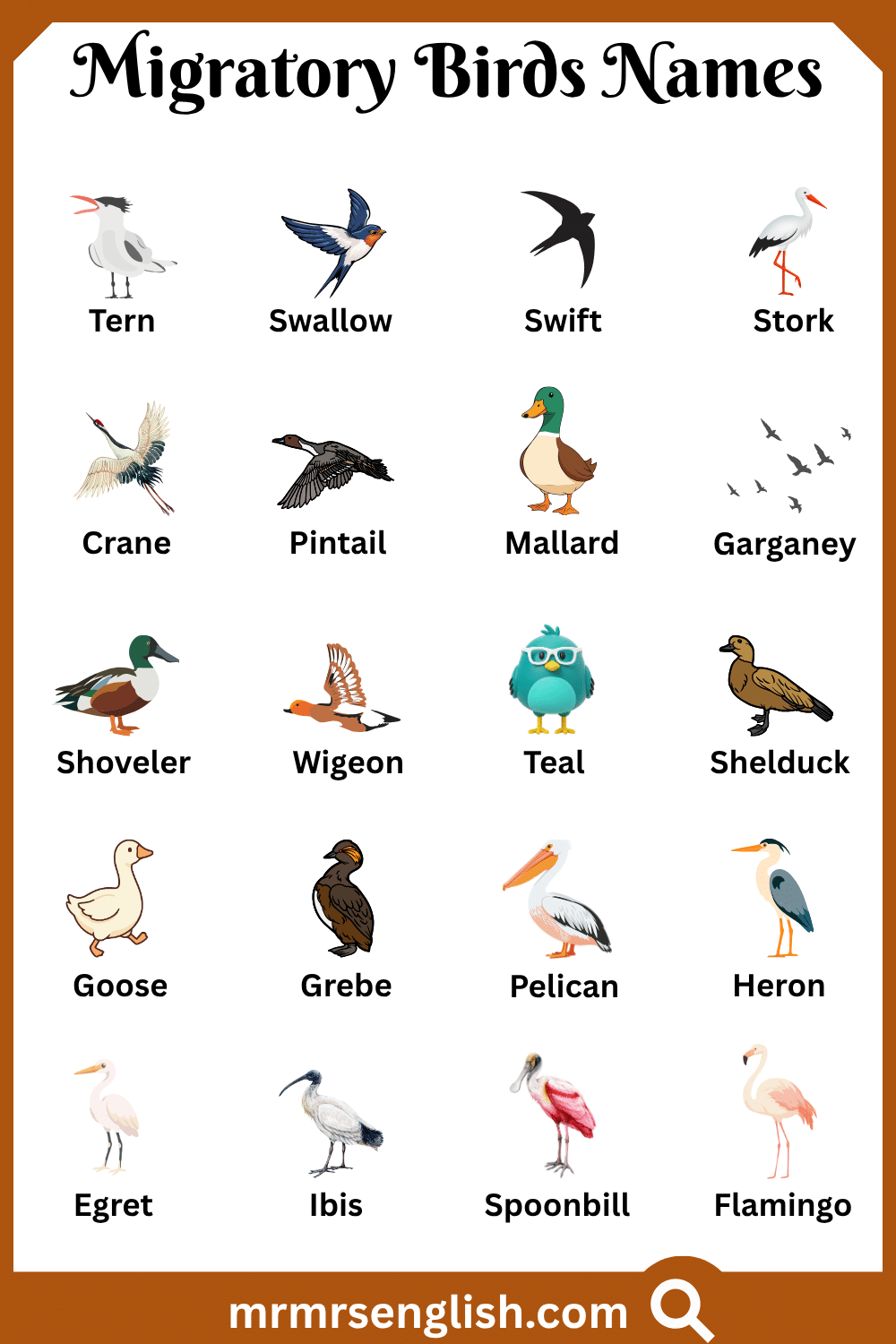 Names of Migratory Birds with Pictures