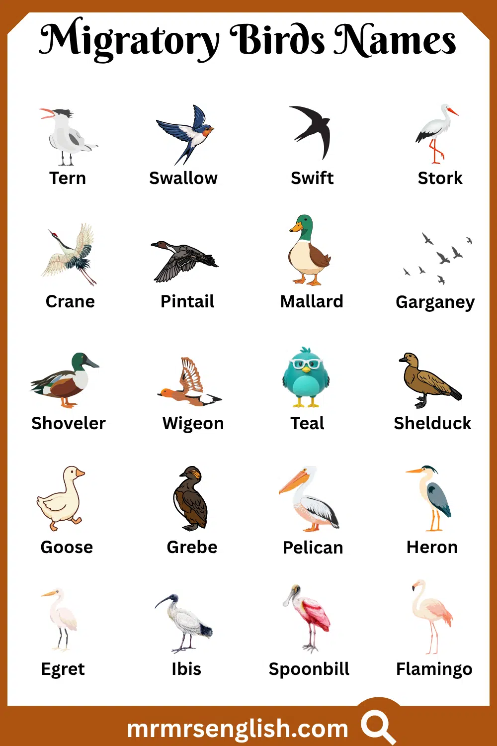 Names of Migratory Birds with Pictures