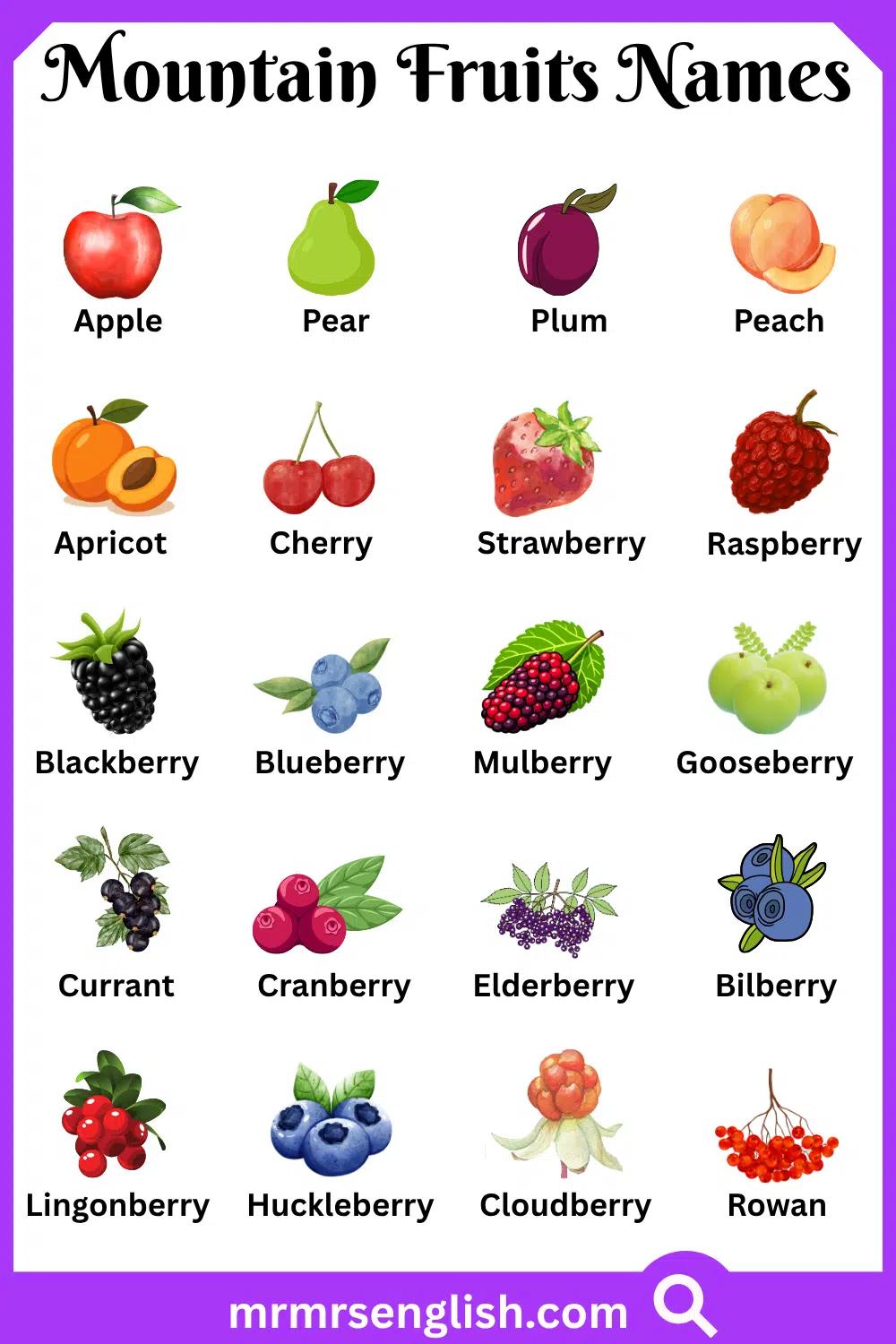 Names of Mountain Fruits with Pictures