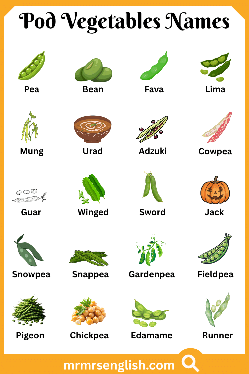 Names of Pod Vegetables with Pictures