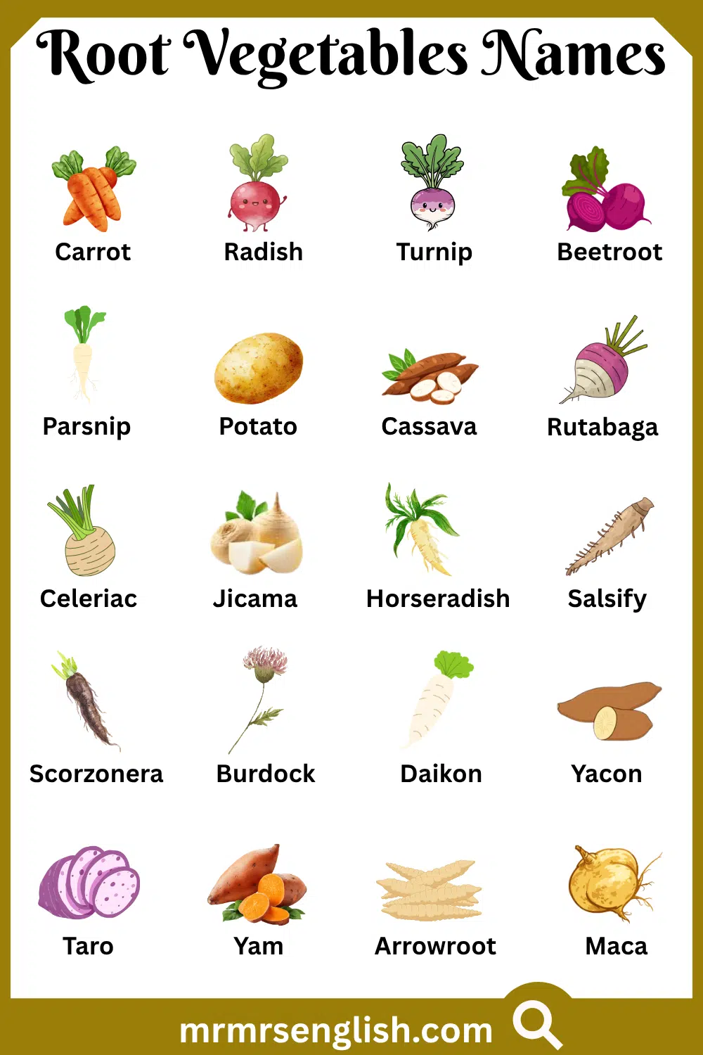 Names of Root Vegetables with Pictures