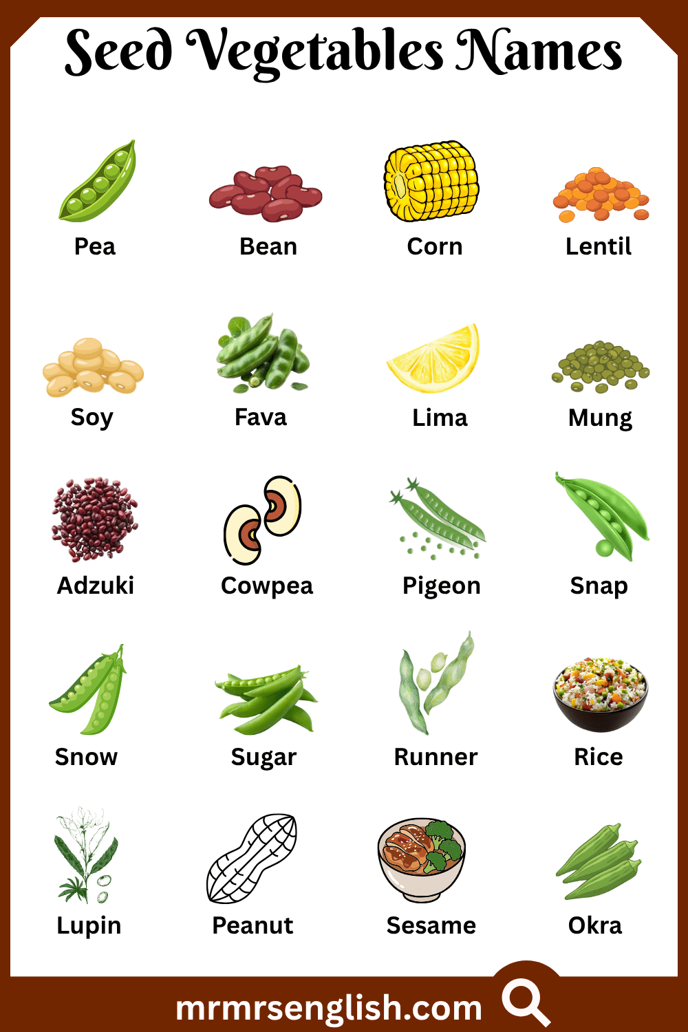 Names of Seed Vegetables with Pictures