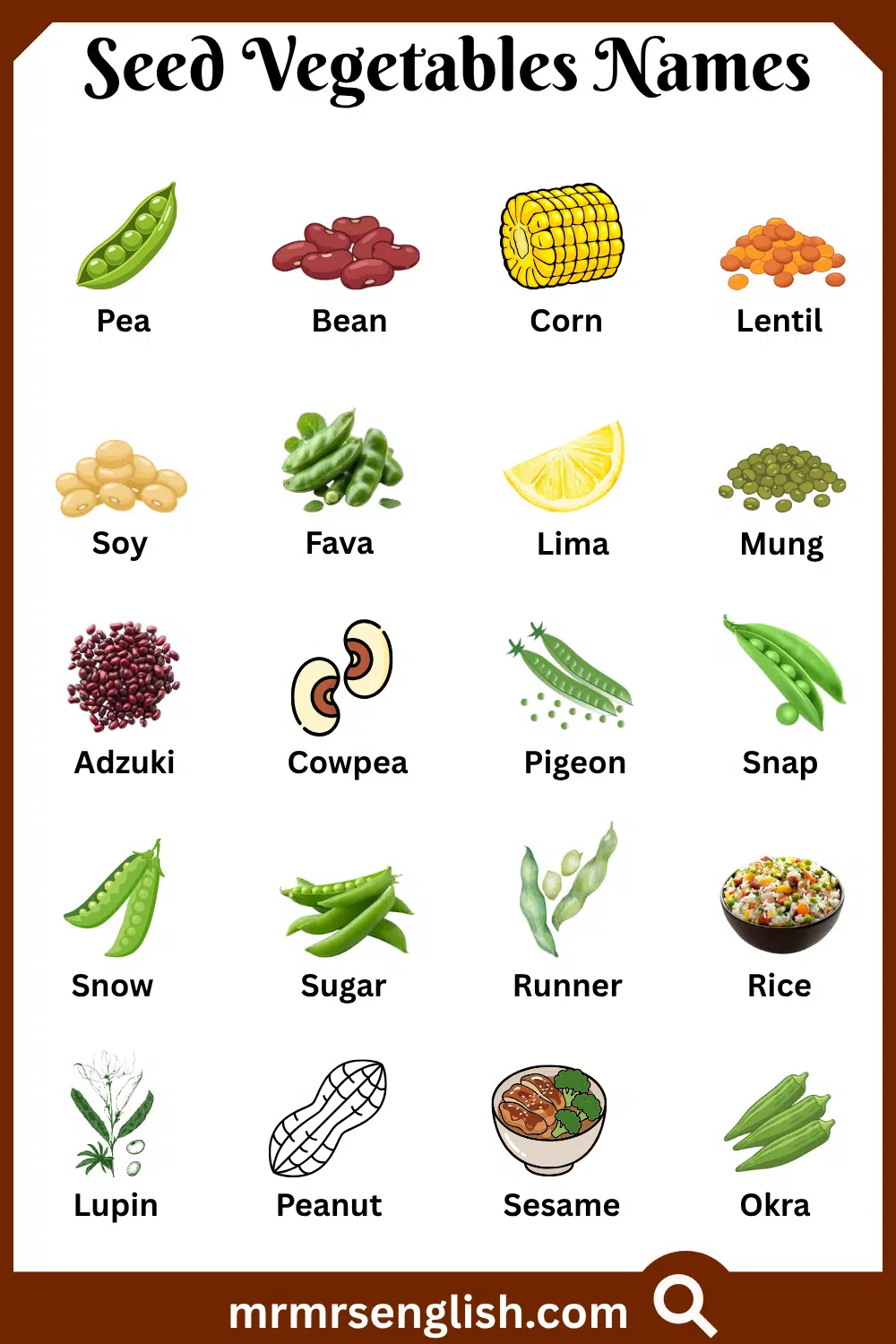 Names of Seed Vegetables with Pictures