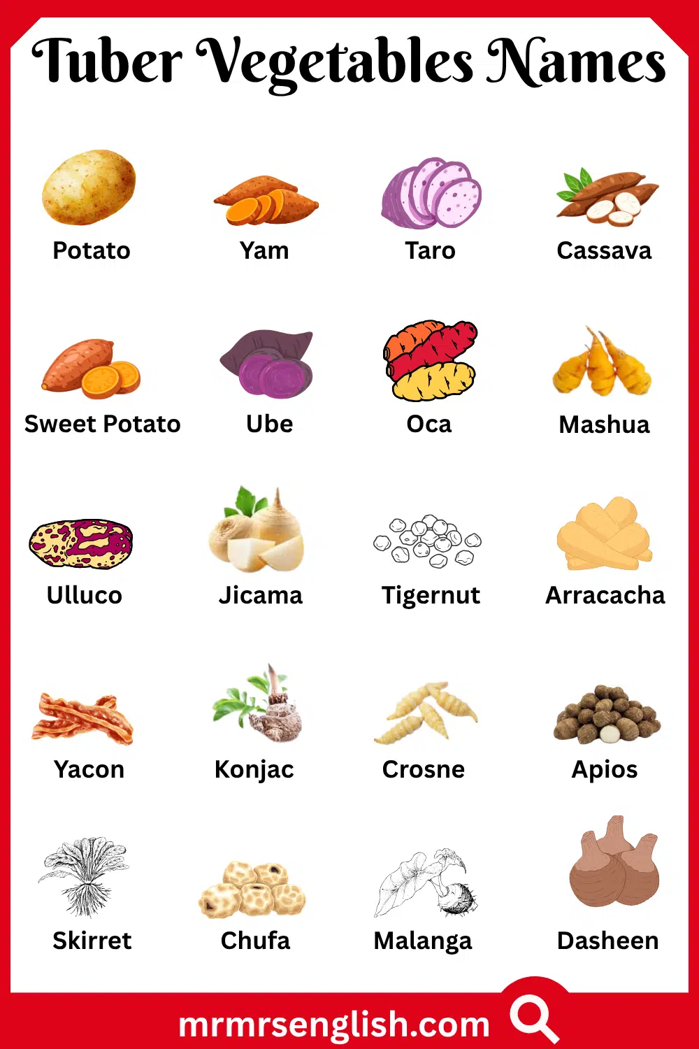 Names of Tuber Vegetables with Pictures