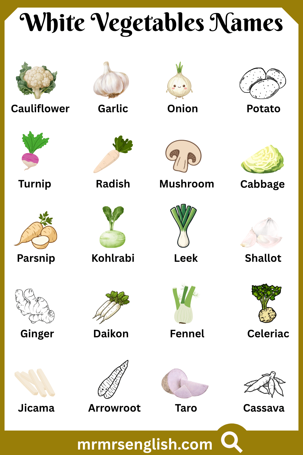 Names of White Vegetables with Pictures