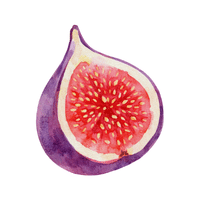 Nativefig | Coastal Fruits Names