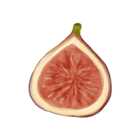 Nativefig | Island Fruits Names