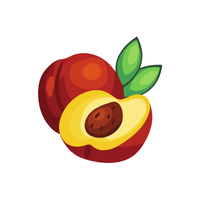 Nectarine | Spring Fruits Names