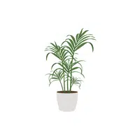 Ninebark | Shrub Plants Names