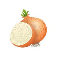Nodding | Bulb Vegetables Names