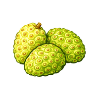 Noni | Island Fruits Names