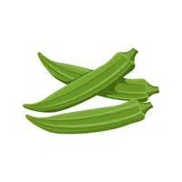 Okra | Seasonal Vegetables Names