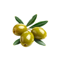 Olive | Fruit Plants Names