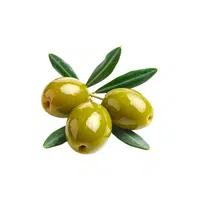 Olive | Fruit Plants Names