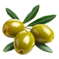 Olive | Autumn Fruits Names