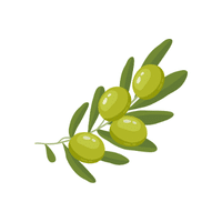Olive | Spring Fruits Names