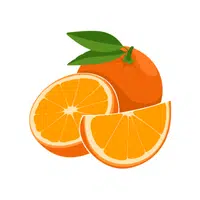 Orange | Coastal Fruits Names
