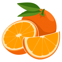 Orange | Autumn Fruits Names