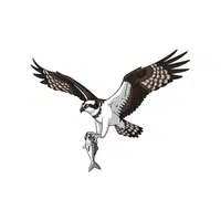 Osprey | Migratory Birds Names