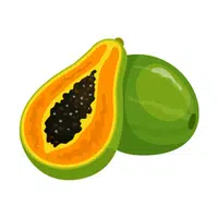 Papaya | Coastal Fruits Names