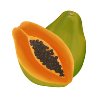 Papaya | Autumn Fruits Names