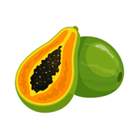 Papaya | Spring Fruits Names