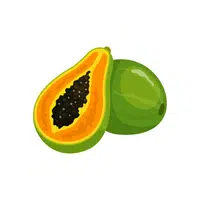 Papaya | Fruit Plants Names