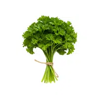 Parsley | Root Vegetables Names