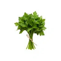 Parsley | Seasonal Vegetables Names